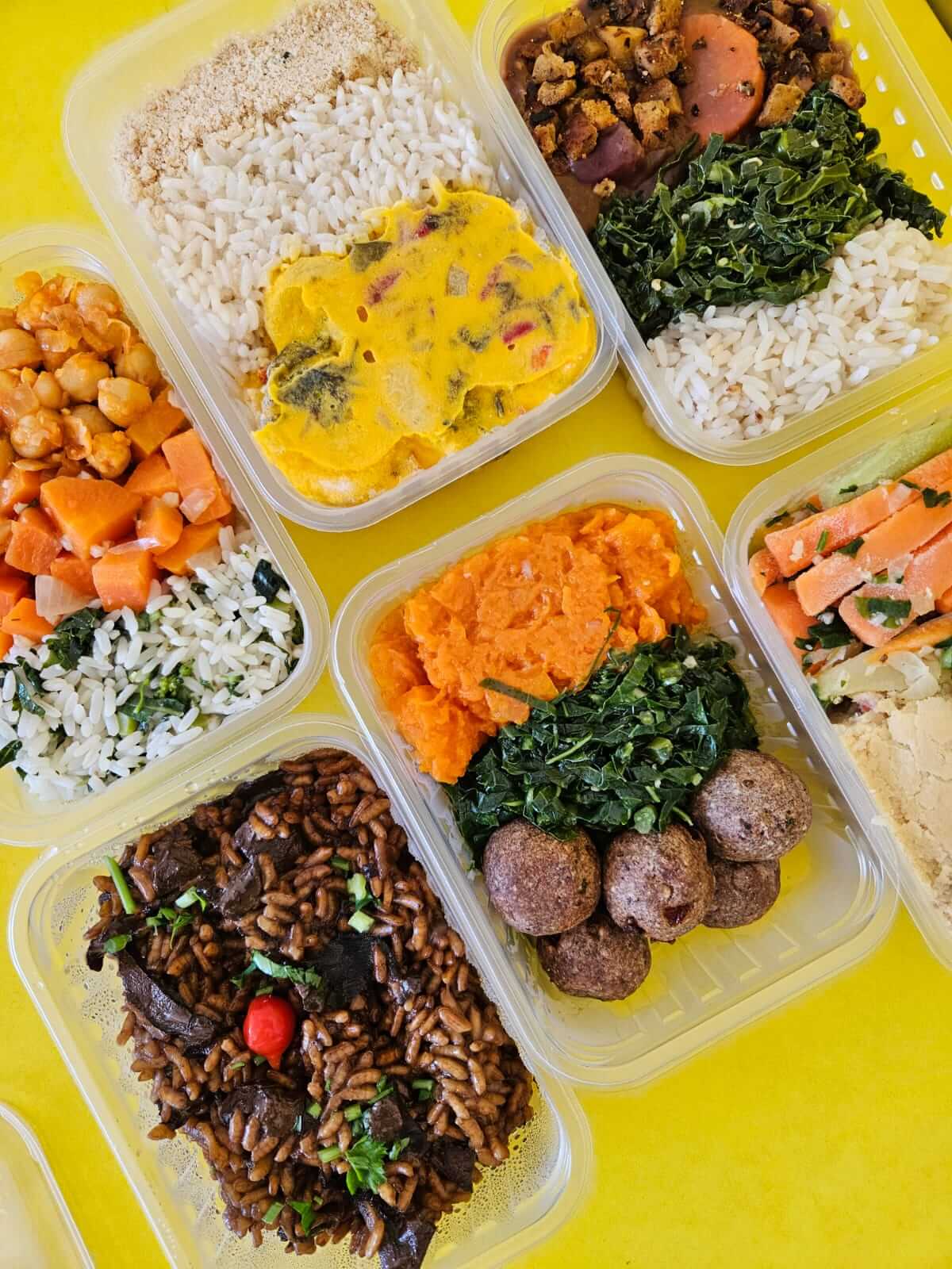 Nossas deliciosas refeições veganas